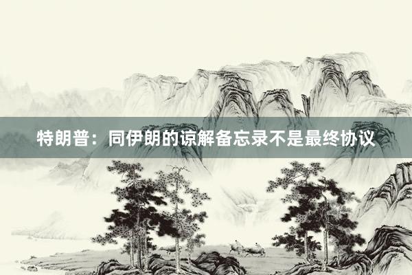 特朗普：同伊朗的谅解备忘录不是最终协议