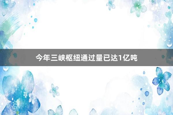 今年三峡枢纽通过量已达1亿吨