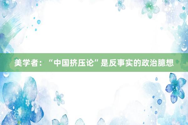 美学者：“中国挤压论”是反事实的政治臆想