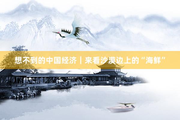 想不到的中国经济｜来看沙漠边上的“海鲜”