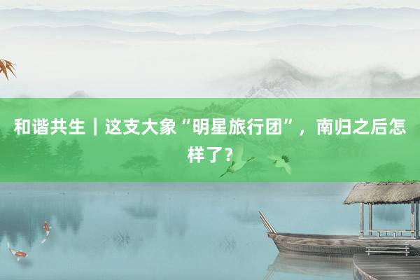 和谐共生｜这支大象“明星旅行团”，南归之后怎样了？