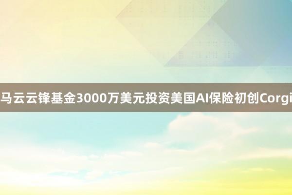 马云云锋基金3000万美元投资美国AI保险初创Corgi
