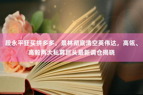 段永平狂买拼多多，景林彻底清空英伟达，高瓴、高毅两大私募巨头最新调仓揭晓