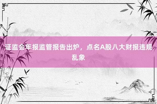 证监会年报监管报告出炉，点名A股八大财报违规乱象