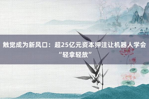 触觉成为新风口：超25亿元资本押注让机器人学会“轻拿轻放”