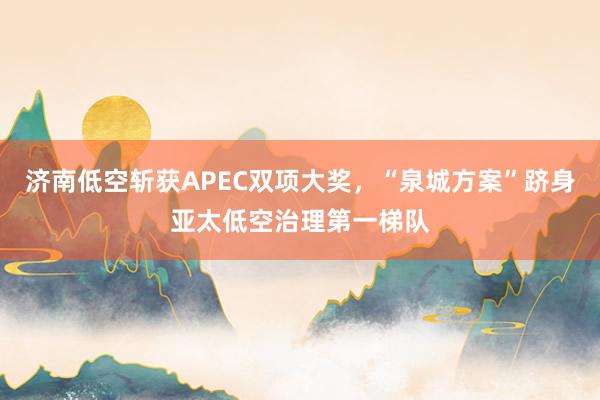 济南低空斩获APEC双项大奖，“泉城方案”跻身亚太低空治理第一梯队