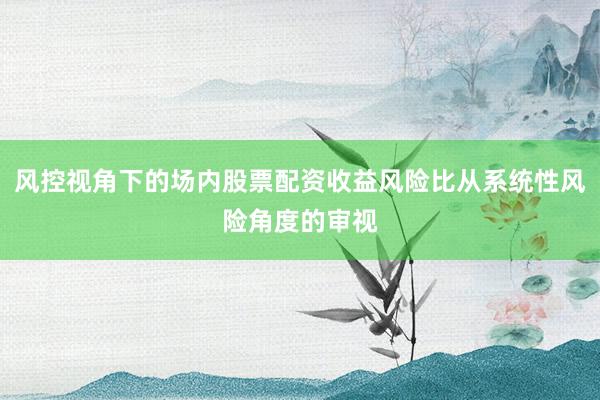 风控视角下的场内股票配资收益风险比从系统性风险角度的审视