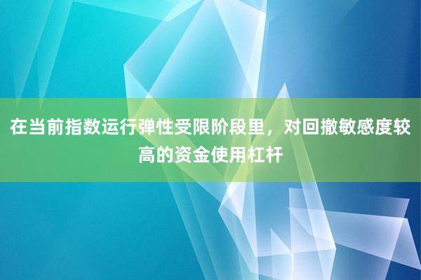 在当前指数运行弹性受限阶段里，对回撤敏感度较高的资金使用杠杆