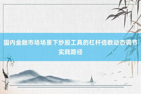 国内金融市场场景下炒股工具的杠杆倍数动态调节实践路径