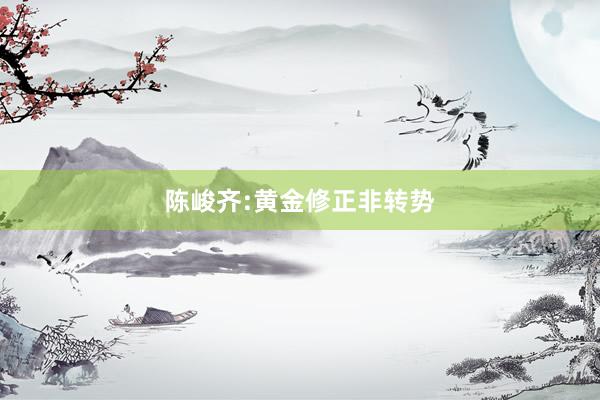 陈峻齐:黄金修正非转势