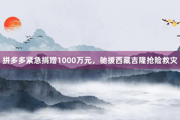 拼多多紧急捐赠1000万元，驰援西藏吉隆抢险救灾