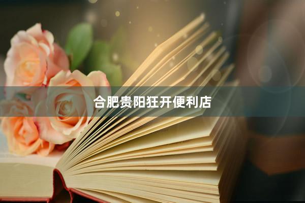 合肥贵阳狂开便利店