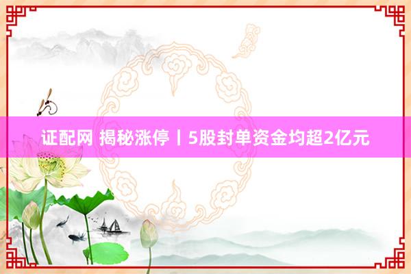 证配网 揭秘涨停丨5股封单资金均超2亿元