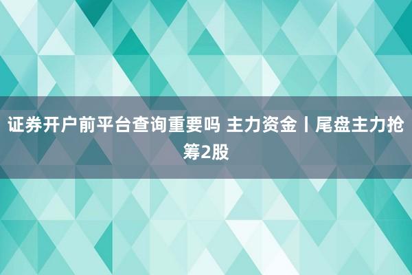 证券开户前平台查询重要吗 主力资金丨尾盘主力抢筹2股