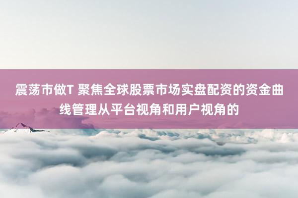 震荡市做T 聚焦全球股票市场实盘配资的资金曲线管理从平台视角和用户视角的