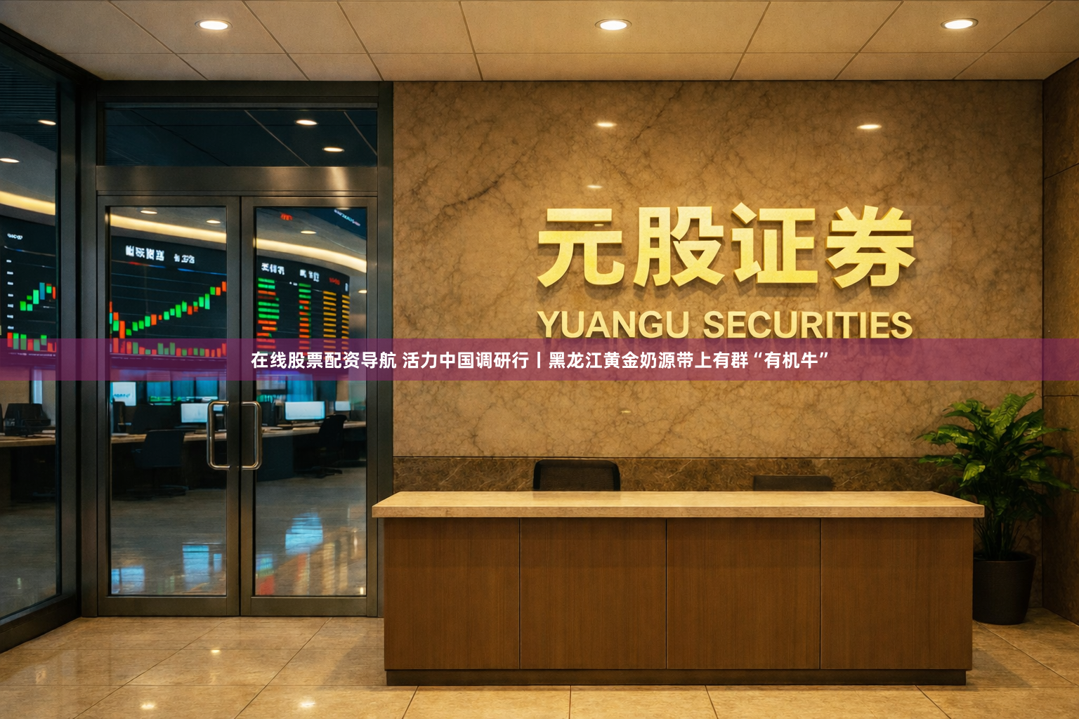 在线股票配资导航 活力中国调研行丨黑龙江黄金奶源带上有群“有机牛”