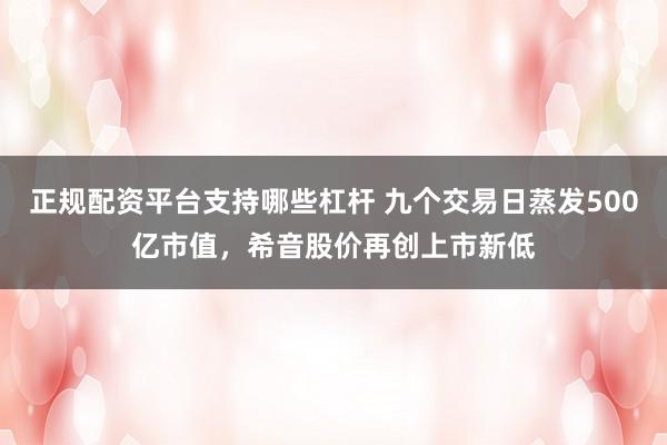 正规配资平台支持哪些杠杆 九个交易日蒸发500亿市值，希音股价再创上市新低