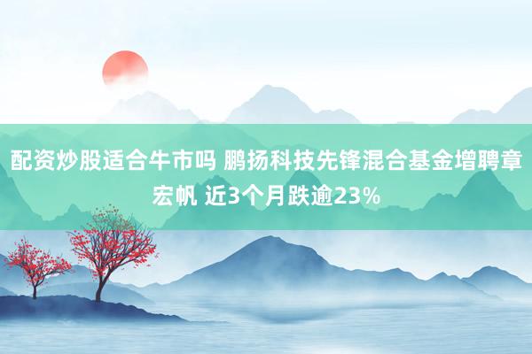 配资炒股适合牛市吗 鹏扬科技先锋混合基金增聘章宏帆 近3个月跌逾23%