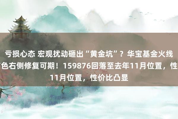 亏损心态 宏观扰动砸出“黄金坑”？华宝基金火线解读：有色右侧修复可期！159876回落至去年11月位置，性价比凸显